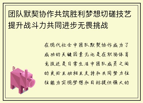 团队默契协作共筑胜利梦想切磋技艺提升战斗力共同进步无畏挑战