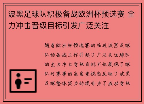 波黑足球队积极备战欧洲杯预选赛 全力冲击晋级目标引发广泛关注