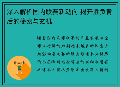 深入解析国内联赛新动向 揭开胜负背后的秘密与玄机